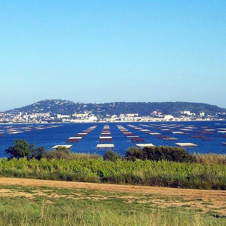 Port Mezua Daire Mèze Dış mekan fotoğraf