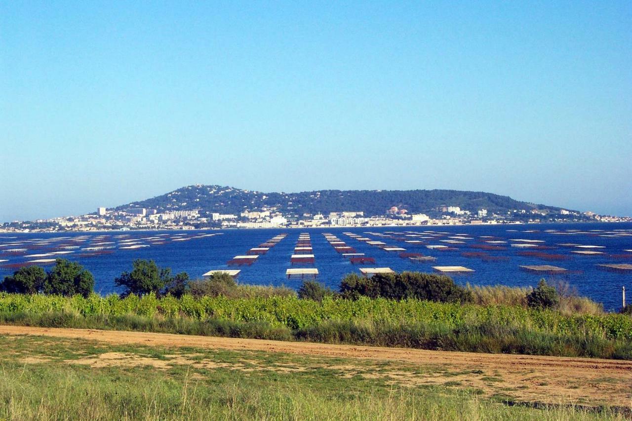 Port Mezua Daire Mèze Dış mekan fotoğraf